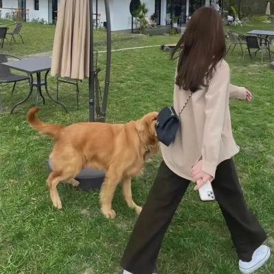 欧比旺